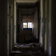 Illustration for article titled Abandoned Shipyard Halls Look Magical After Heavy Rain